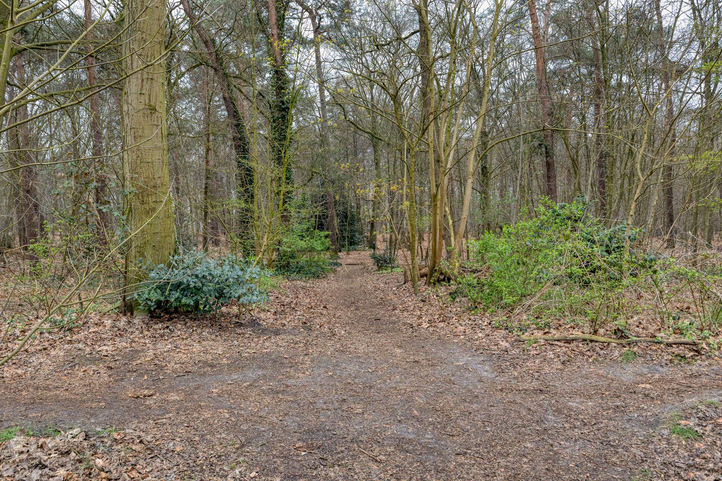 Foto 29 van Diepenveenstraat 14