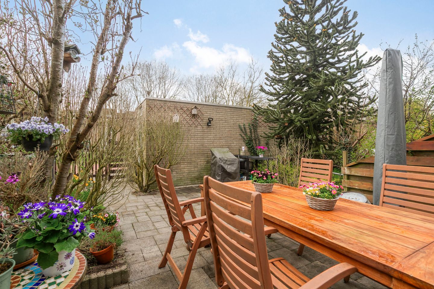 Foto 29 van Cornelis Aarnoutsstraat 185