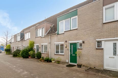 Cornelis Aarnoutsstraat thumbnail