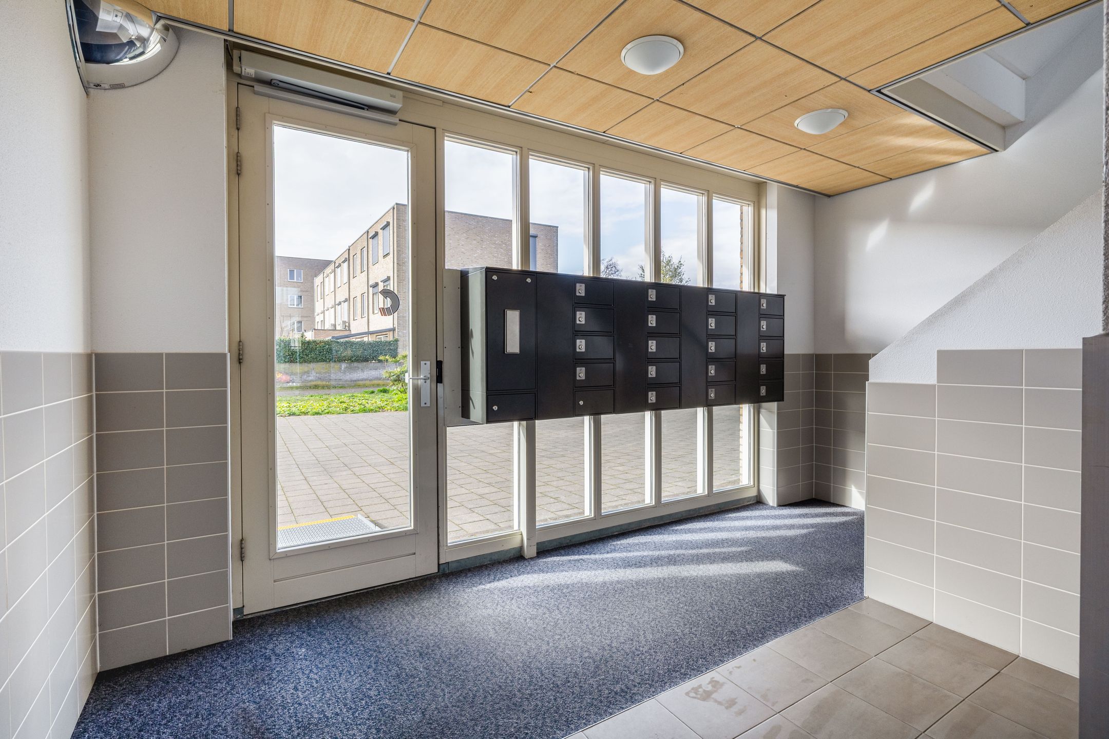 Foto 9 van Narcis 27