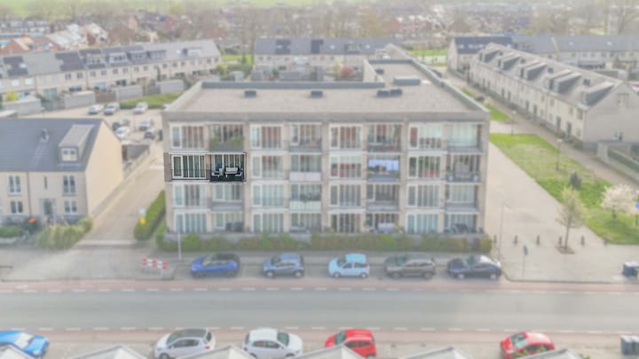 Narcis 27 main image