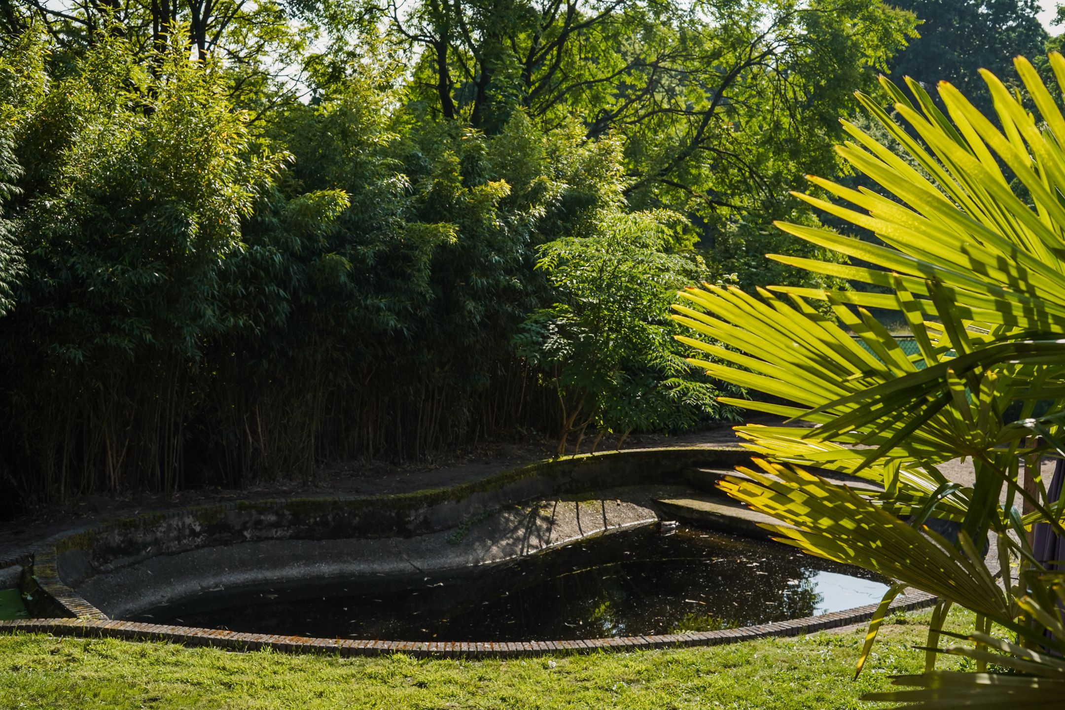 Photo 57 of Amsterdamseweg 235