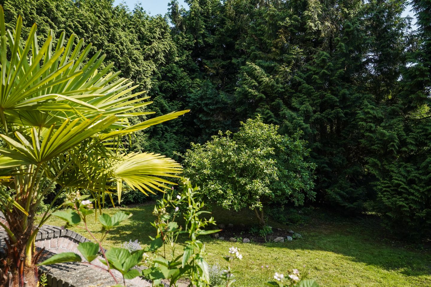 Photo 59 of Amsterdamseweg 235