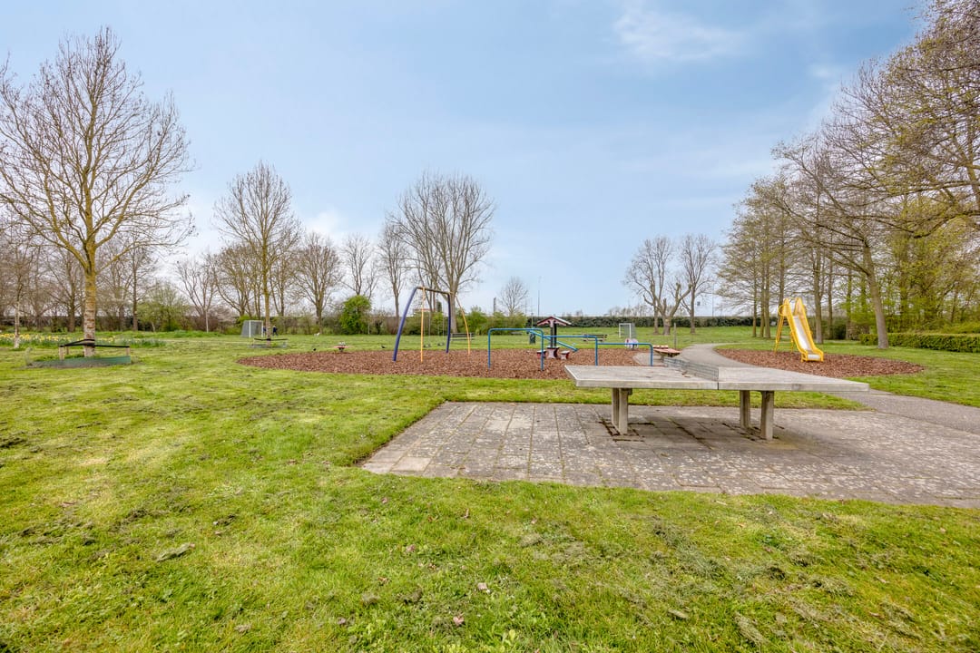 Photo 31 of Wilgenoord 41