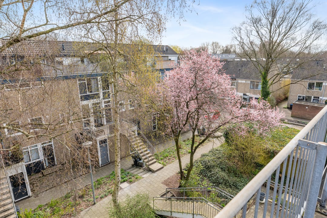 Foto 41 van Lichtboei 95