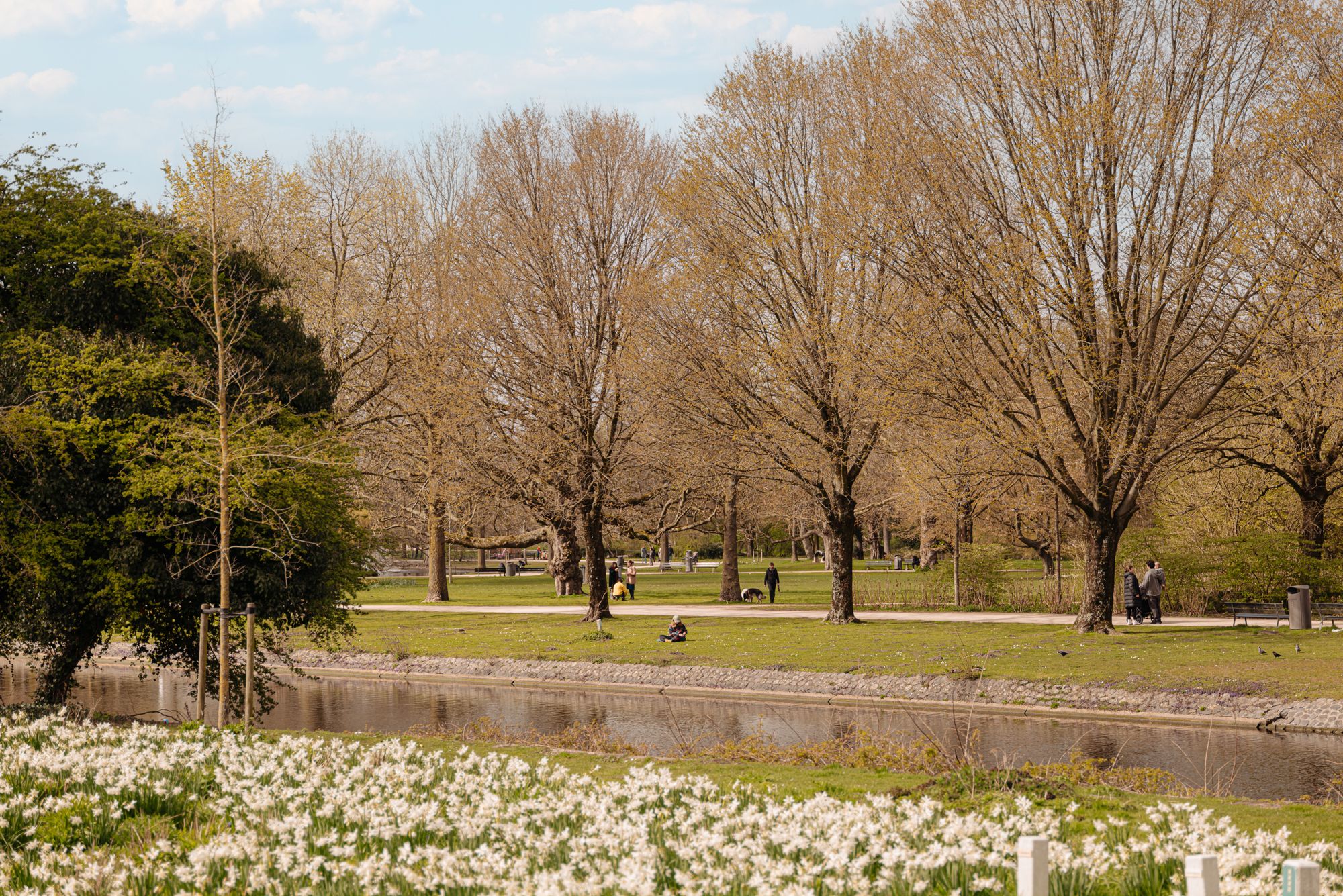 Foto 33 van Barentszplein 2-G