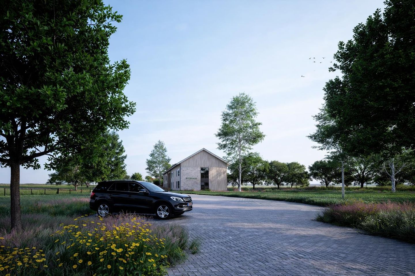 Bekijk foto 5 van Weg over de Ezelaar