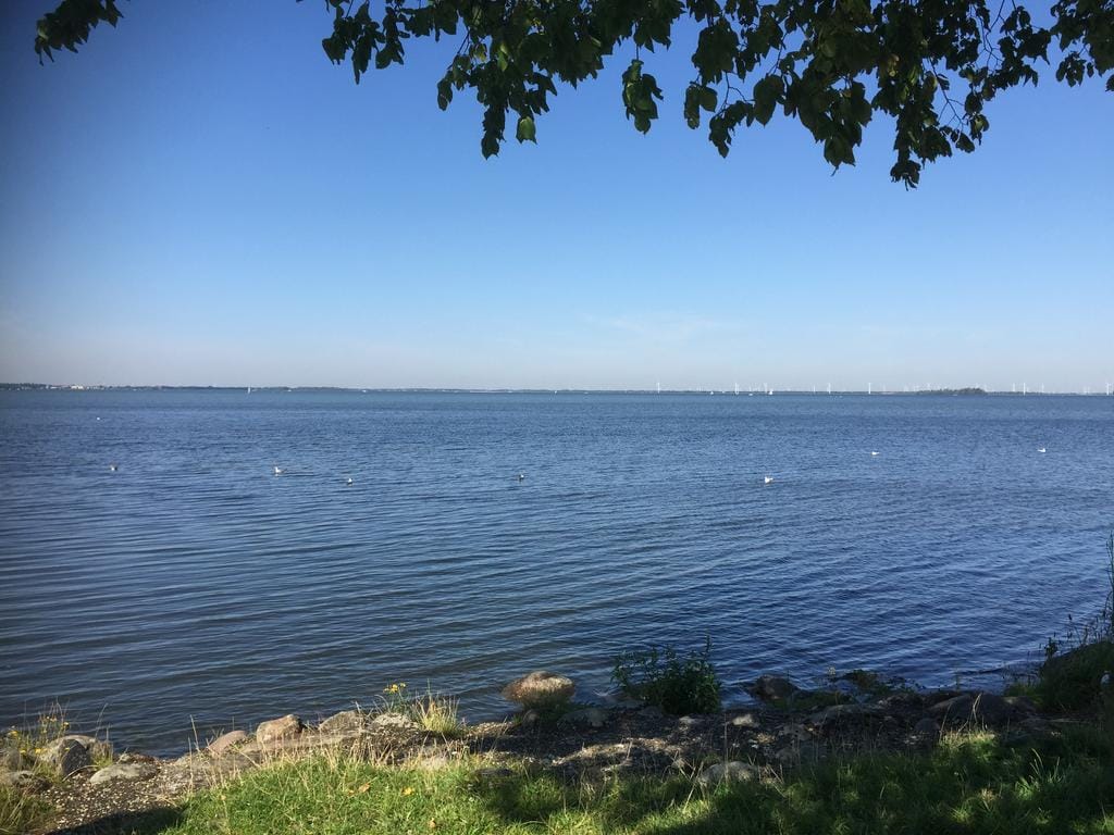 Foto 31 van Muntplein 9