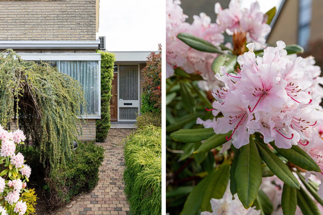 Foto 7 van Abel Tasmanlaan 28