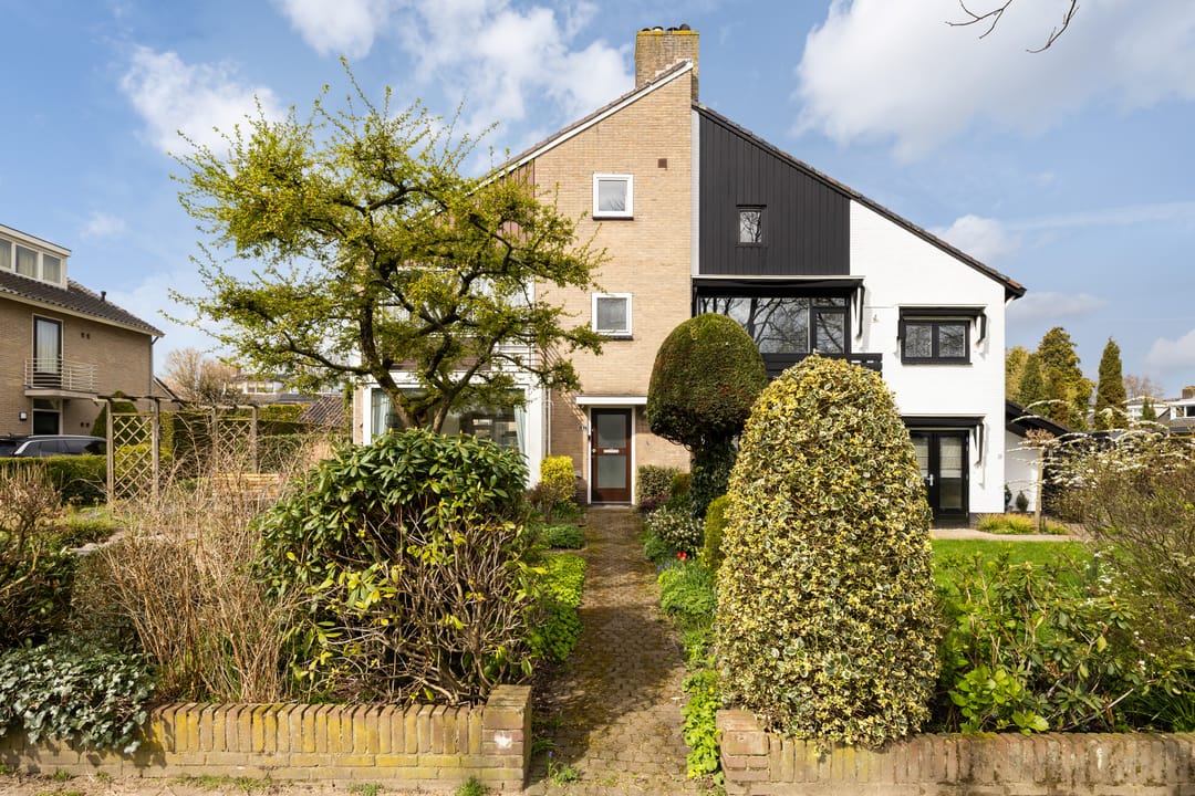 Foto 2 van Nassauplantsoen 28