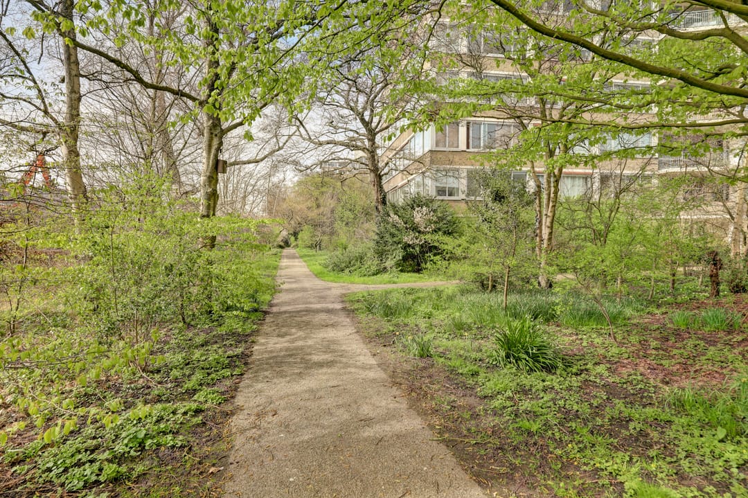 Foto 32 van Meander 843