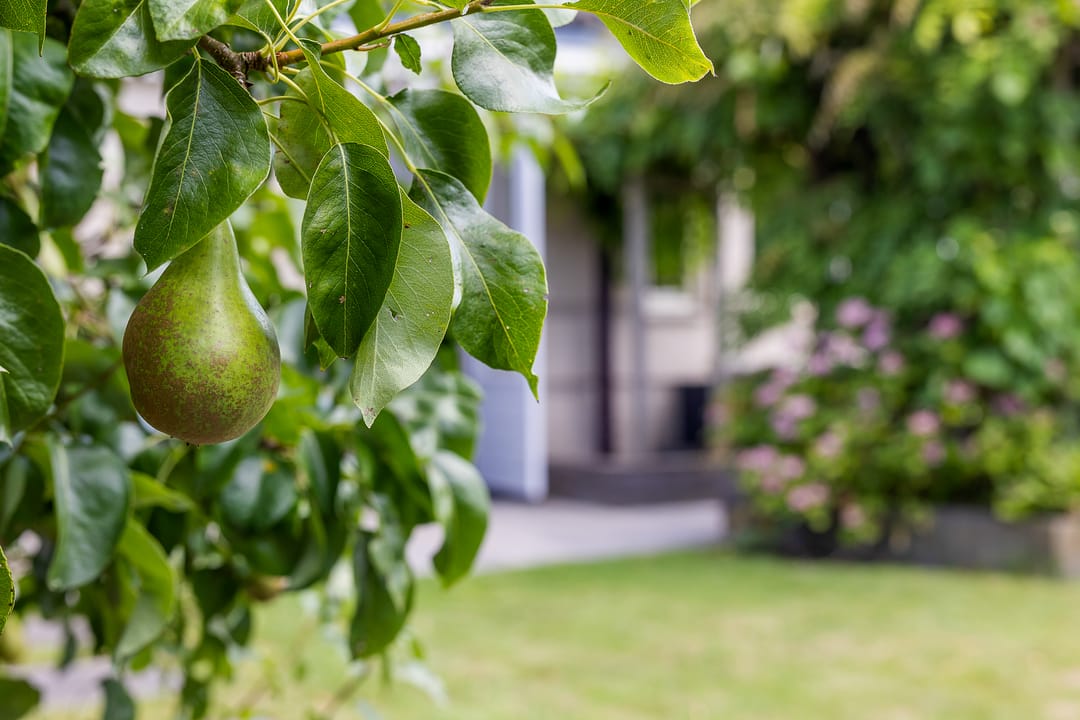 Foto 28 van Cassinstraat 18