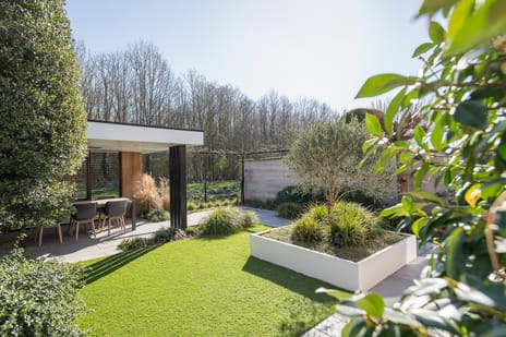 Limes 70 secondary image