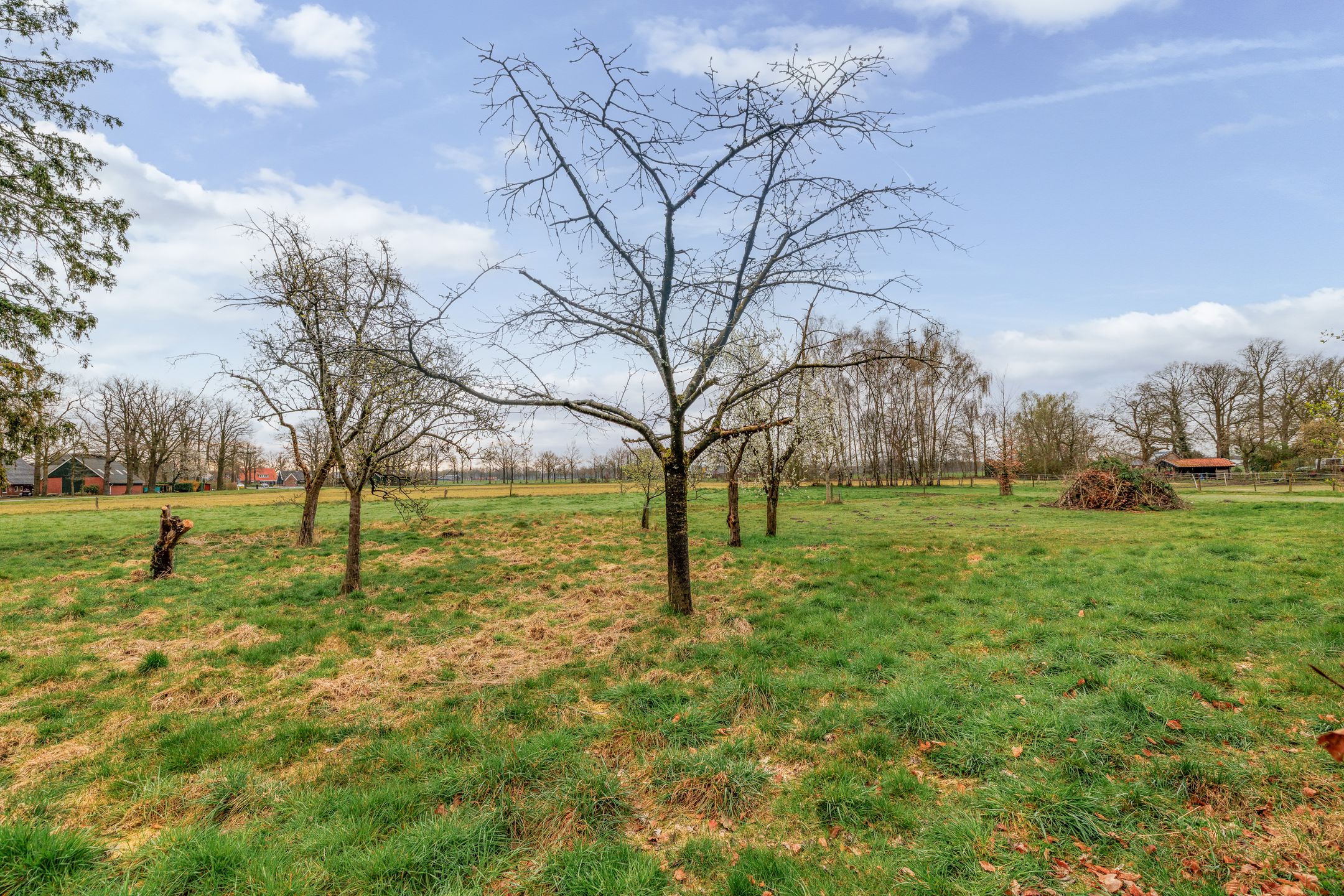 Foto 66 van Haaksbergerweg 31