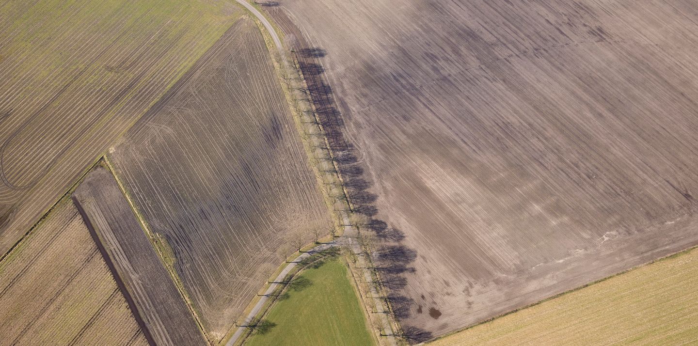 Vlakwater - Nederweert-Eind - Afbeelding 7