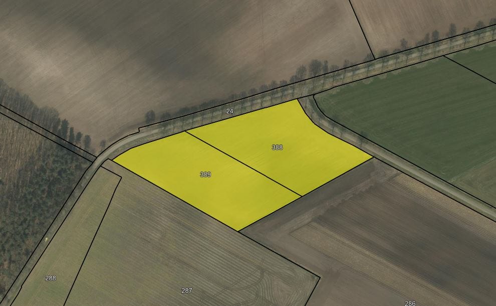 Vlakwater - Nederweert-Eind - Afbeelding 1