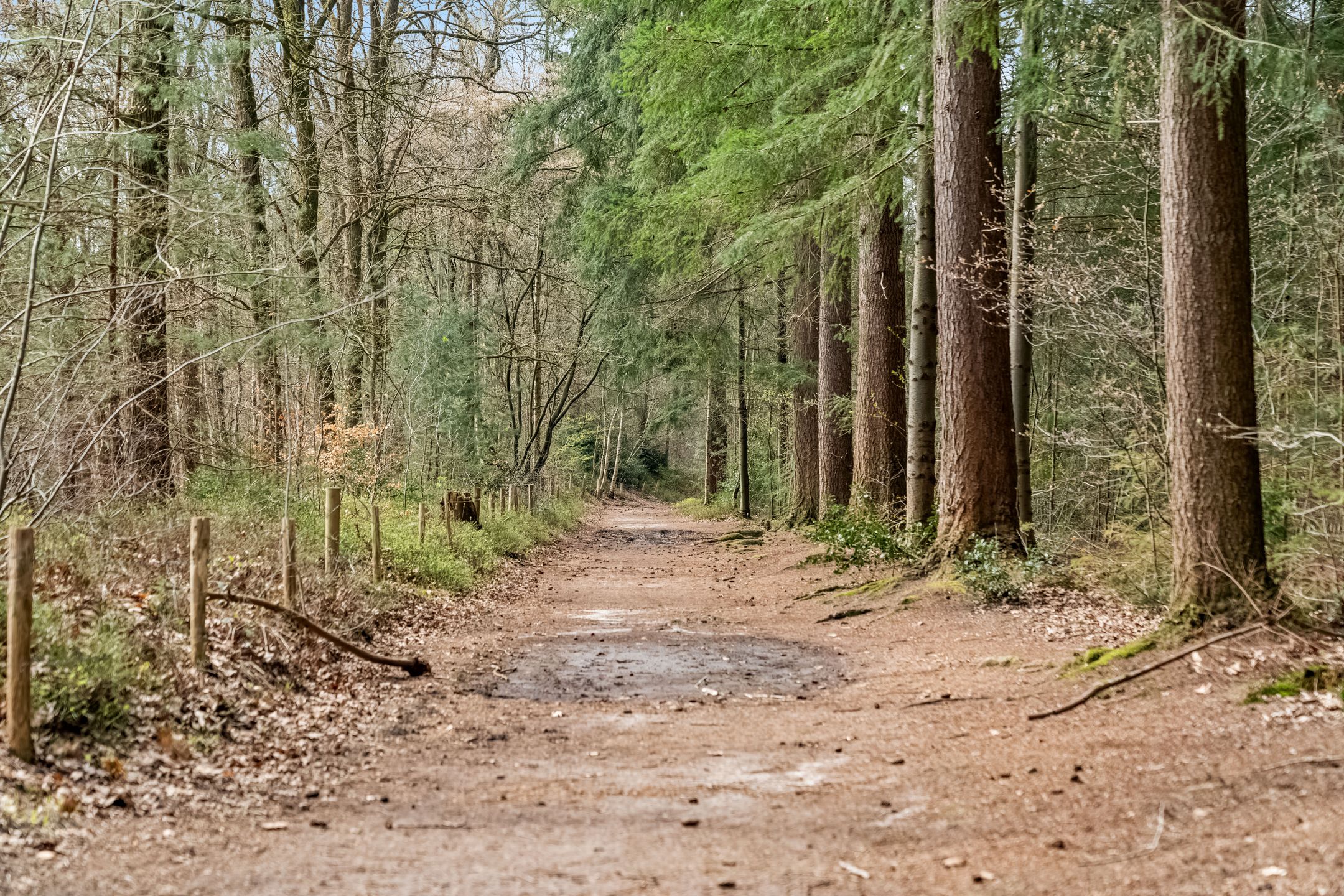 Foto 33 van Apollolaan 118