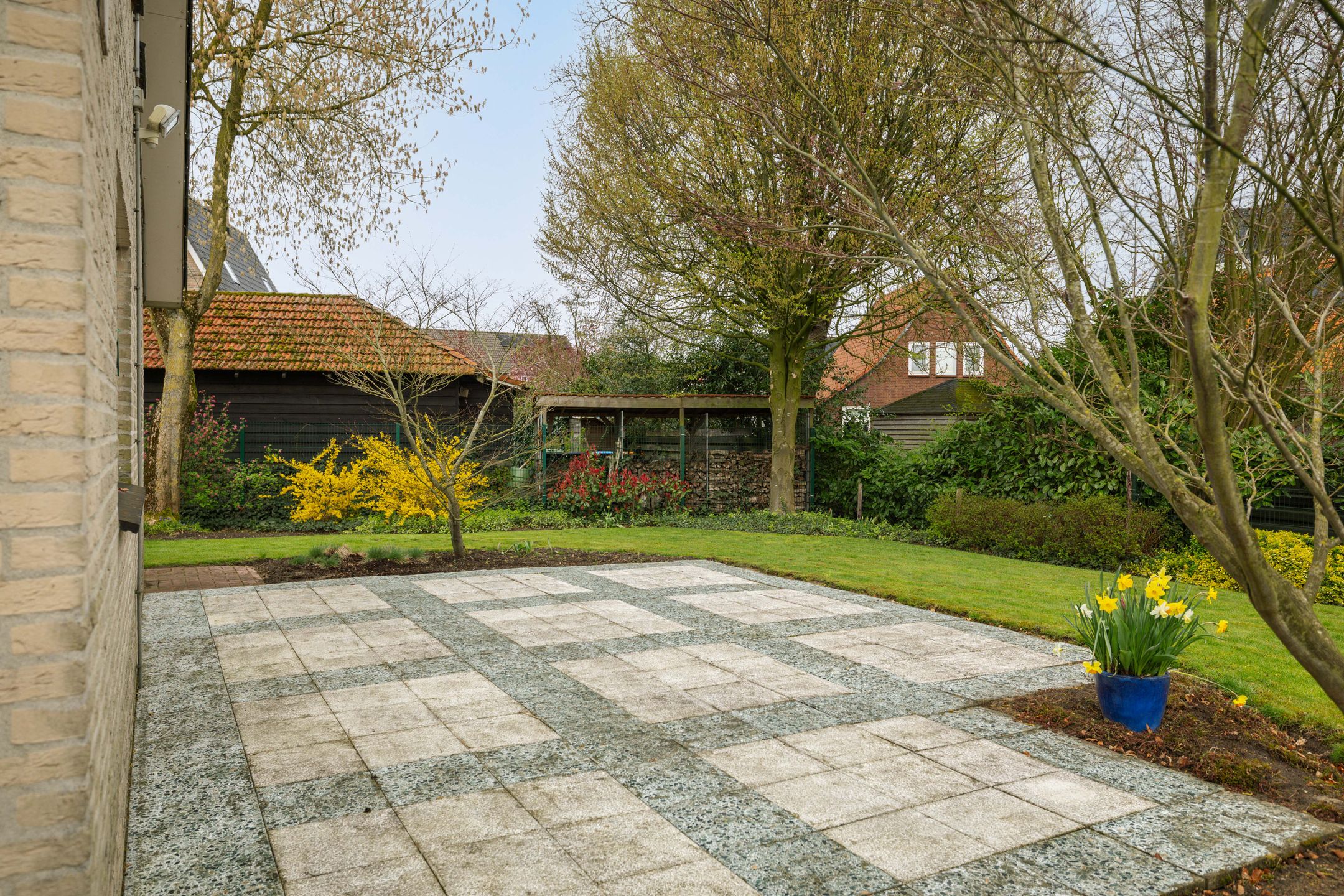 Foto 30 van Sleedoorn 1