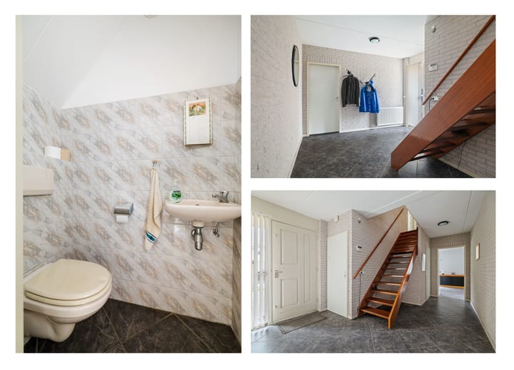 Foto 3 van Sleedoorn 1