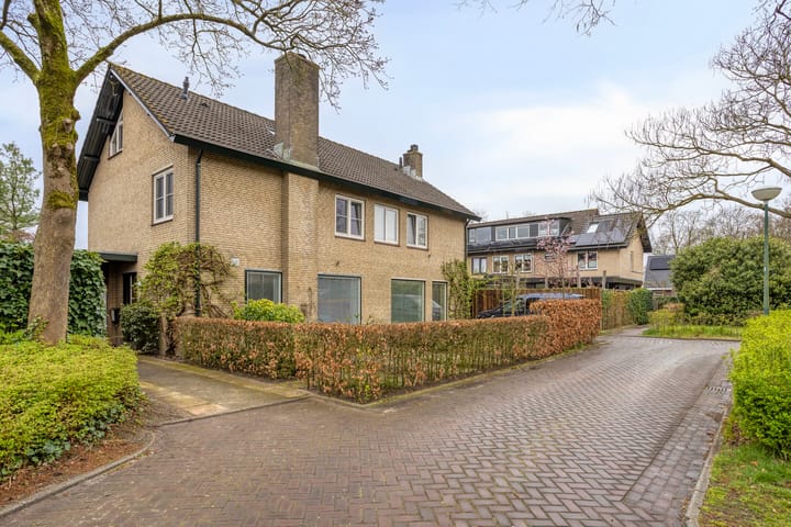 Foto 2 van Viltroos 1