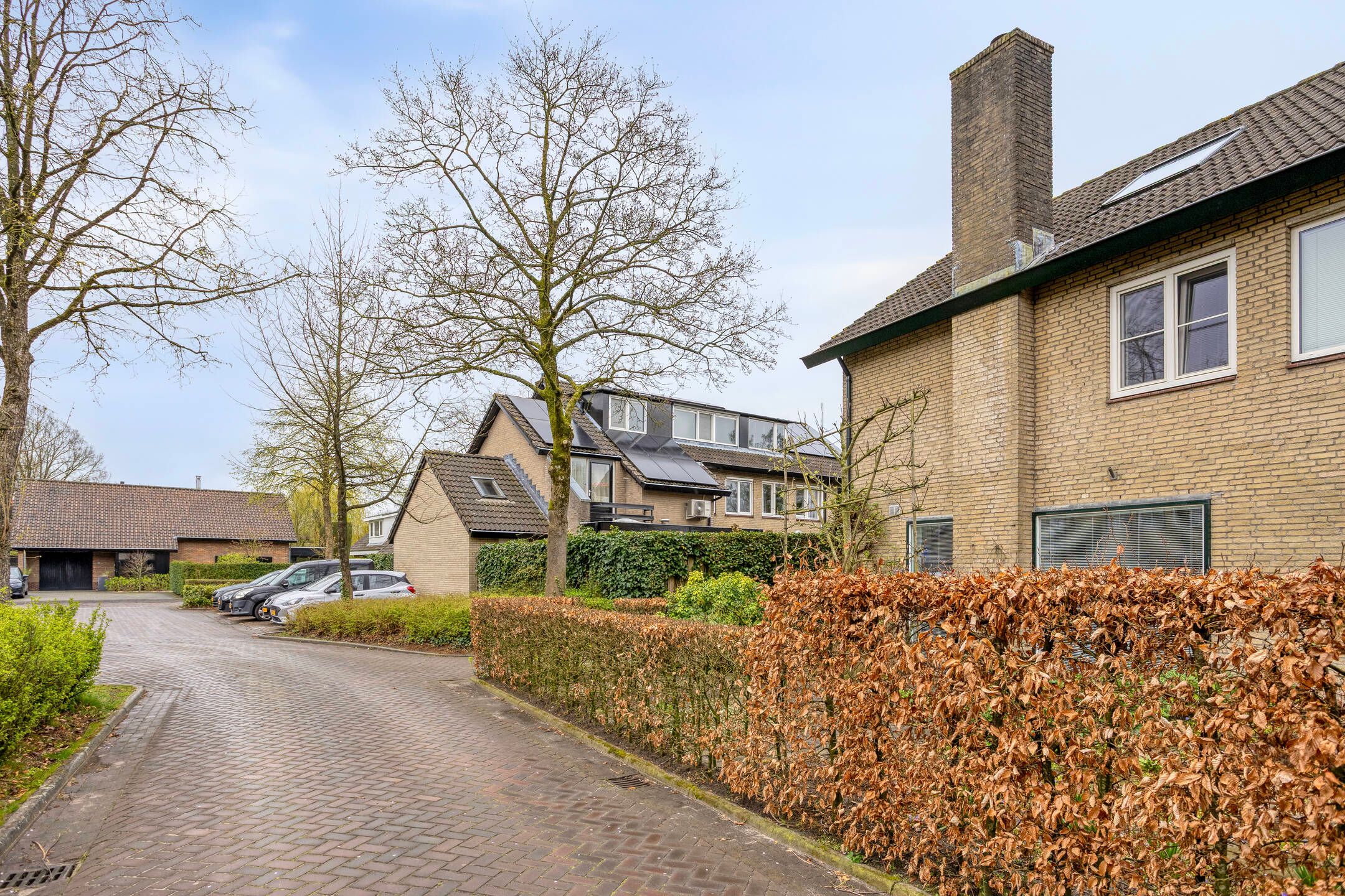 Foto 3 van Viltroos 1