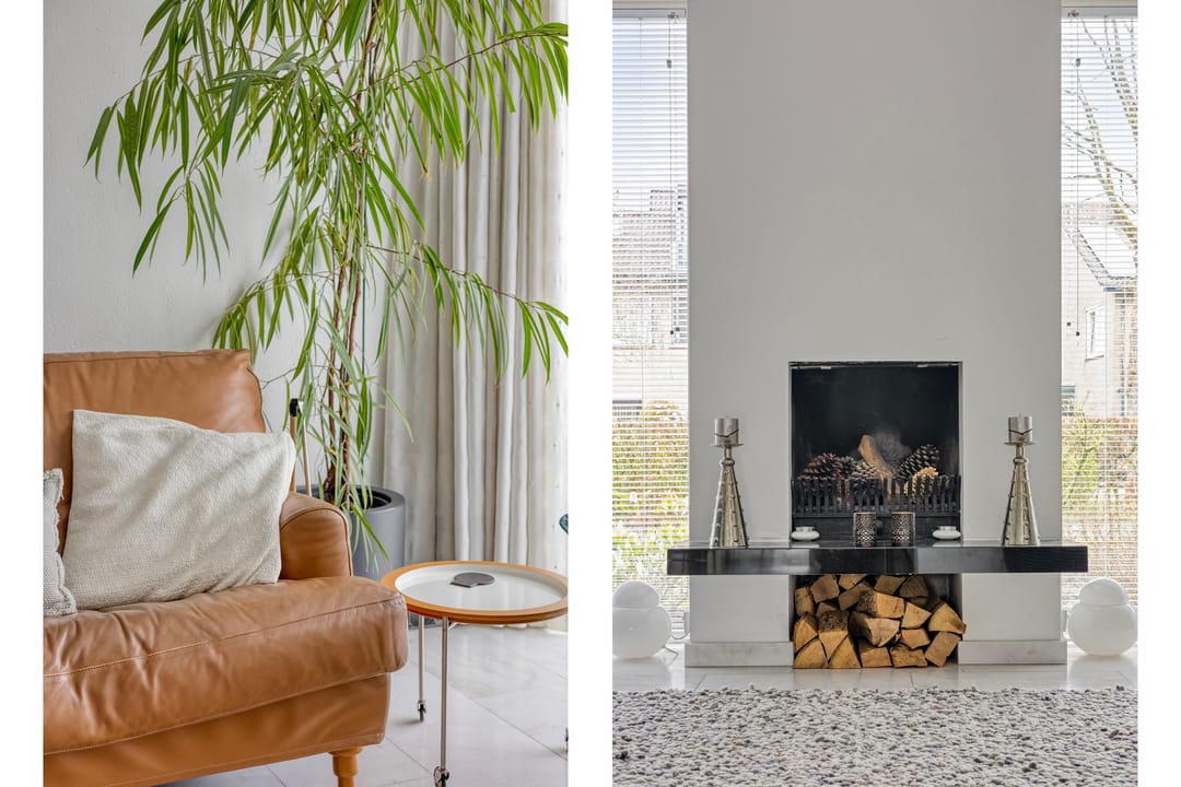 Foto 8 van Viltroos 1