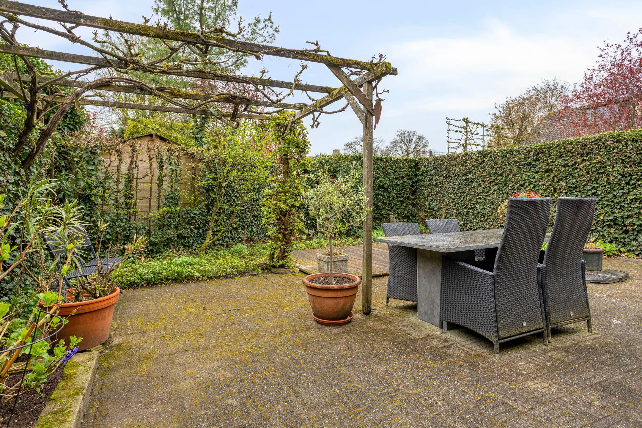 Foto 30 van Viltroos 1