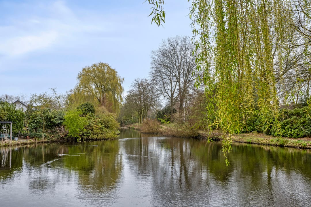 Foto 37 van Viltroos 1