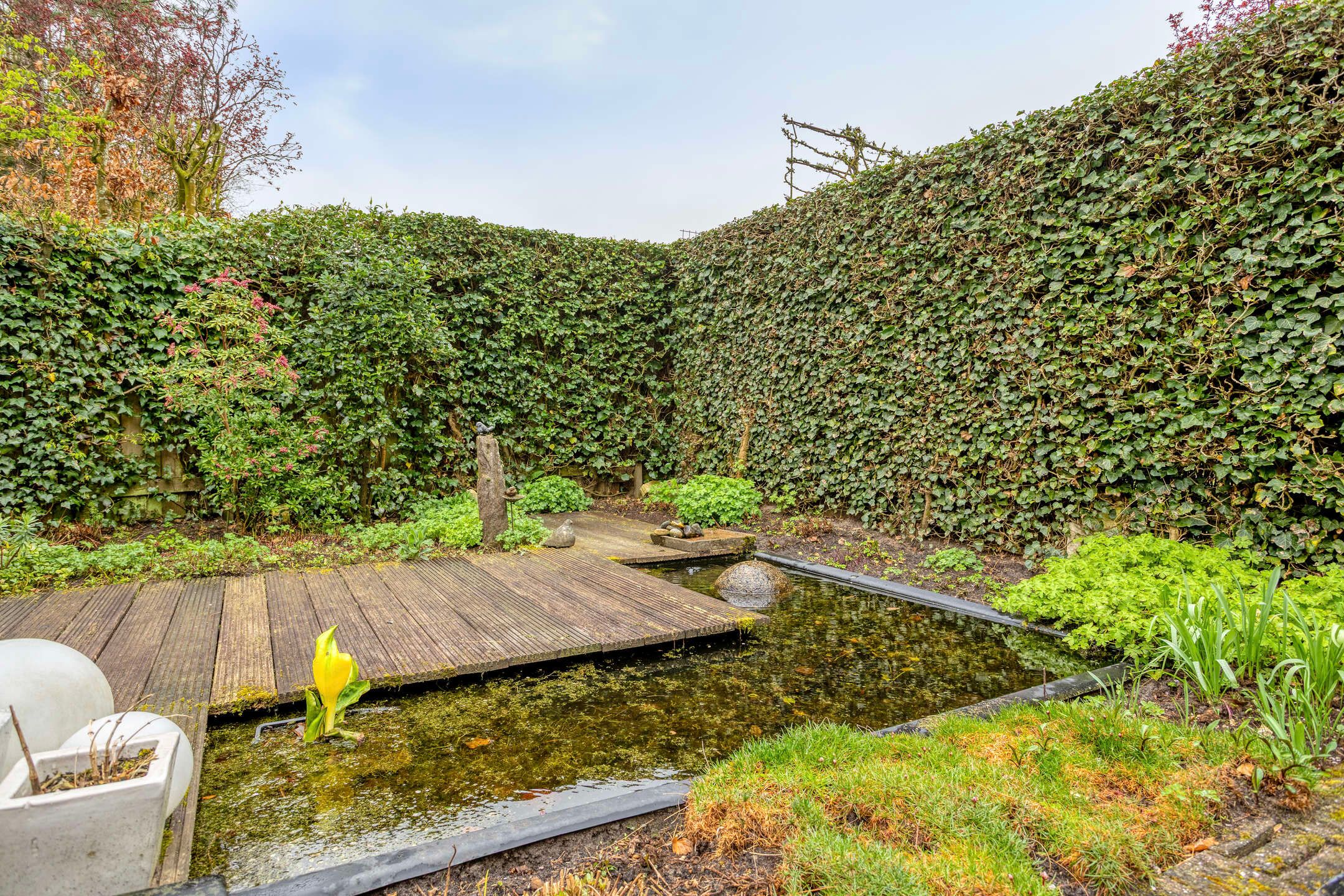 Foto 33 van Viltroos 1