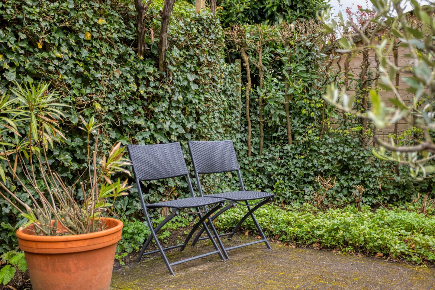 Foto 34 van Viltroos 1