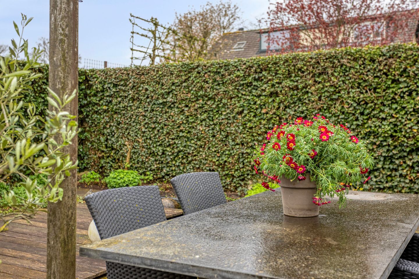 Foto 35 van Viltroos 1