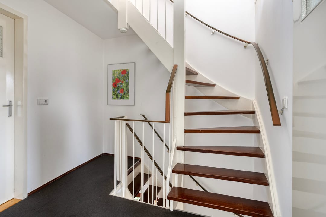 Foto 17 van Viltroos 1