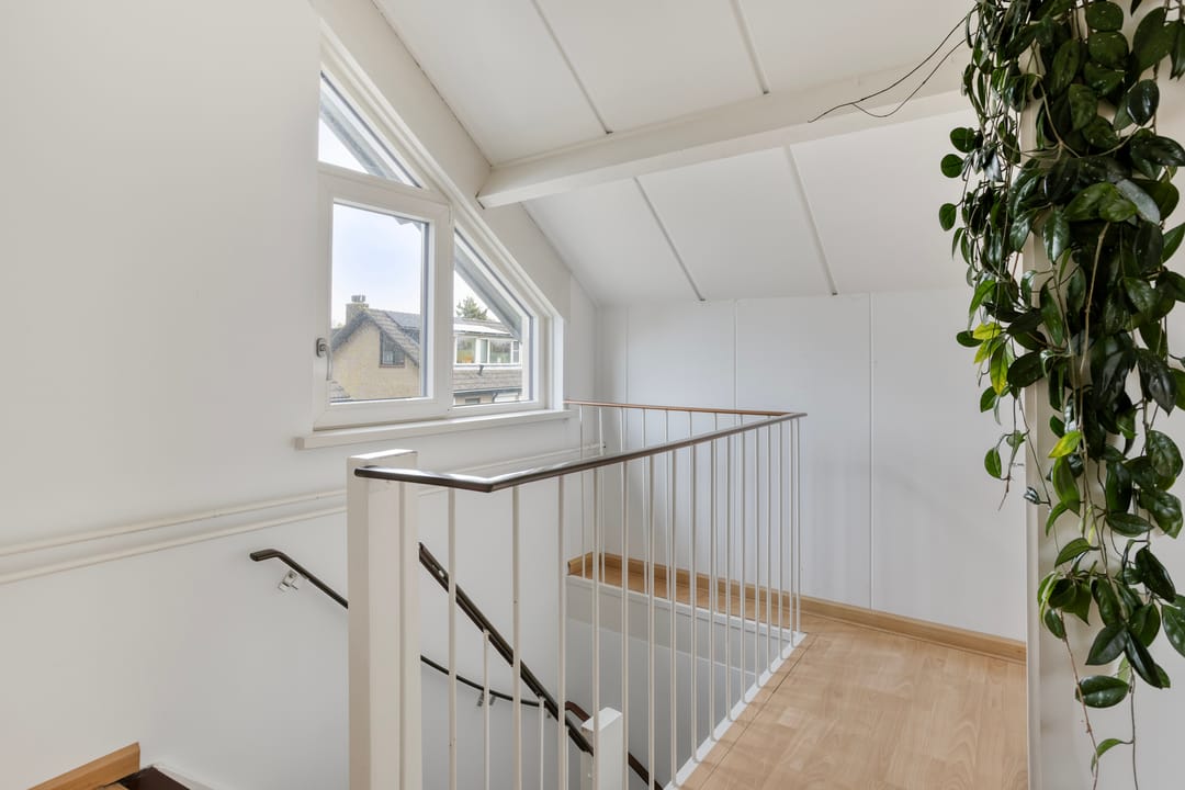 Foto 26 van Viltroos 1