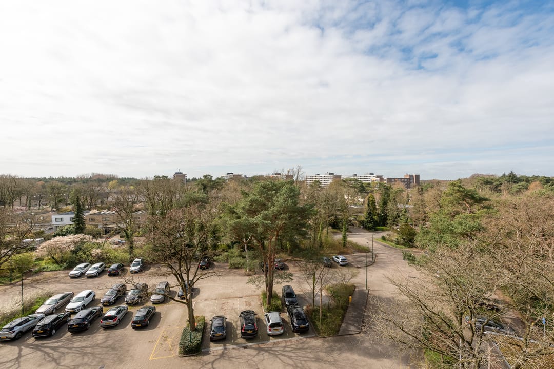 Foto 26 van Bosuillaan 183