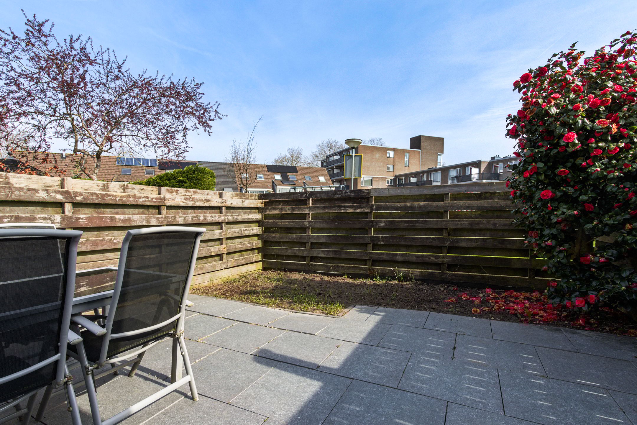 Photo 18 of Frida Katz-erf 105