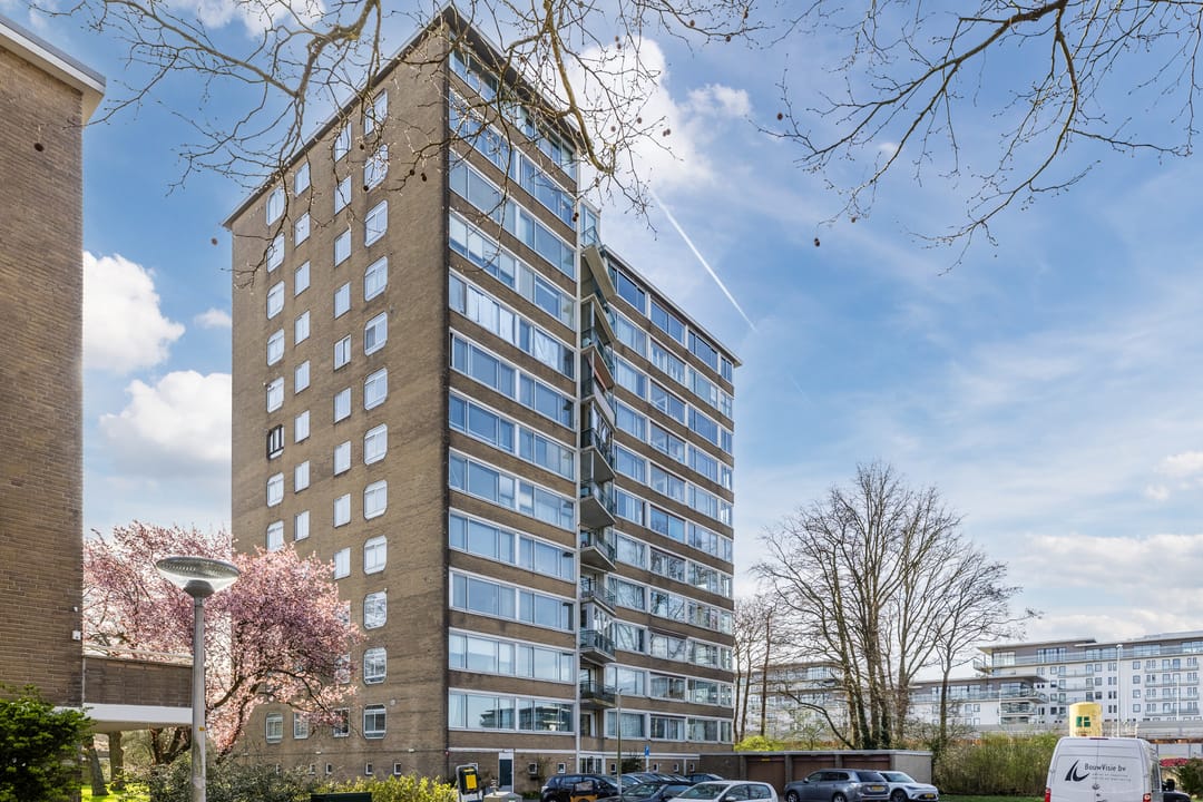 Foto 8 van Meander 561