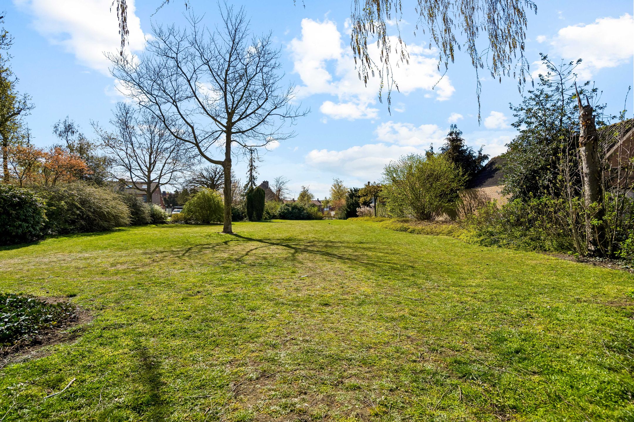 Photo 3 of Crocusstraat 24