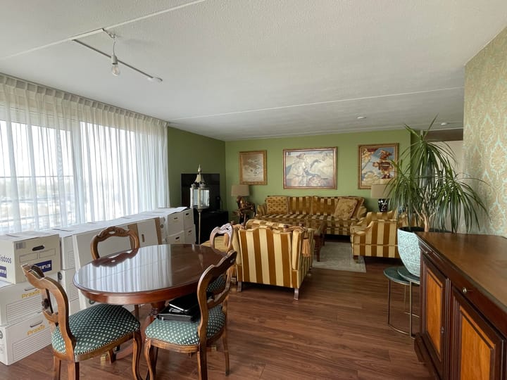 Photo 2 of Hermelijnvlinder 85