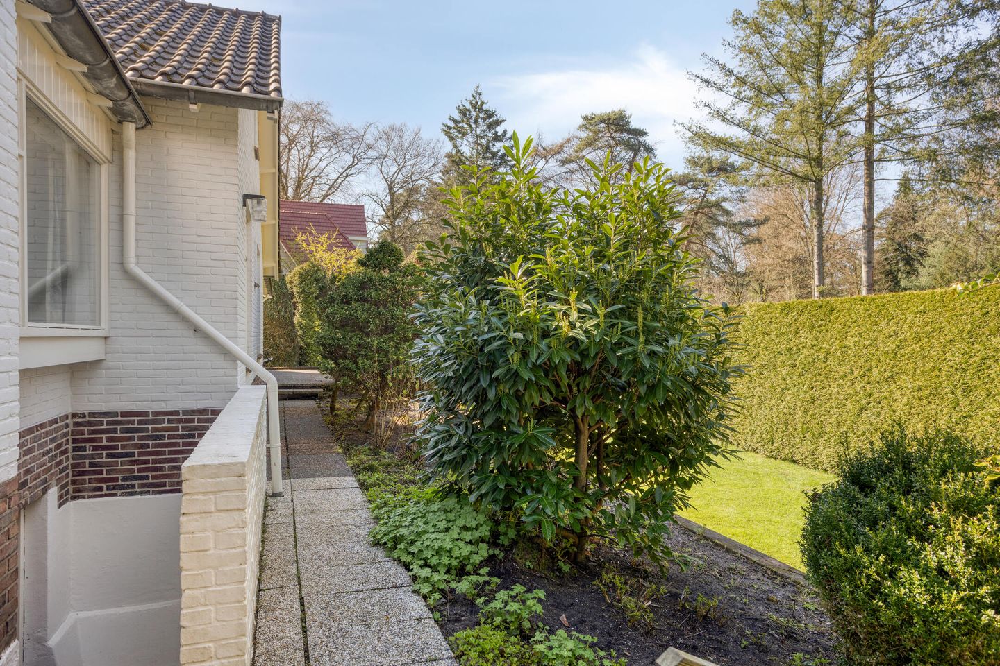 Photo 40 of Bosweg 122