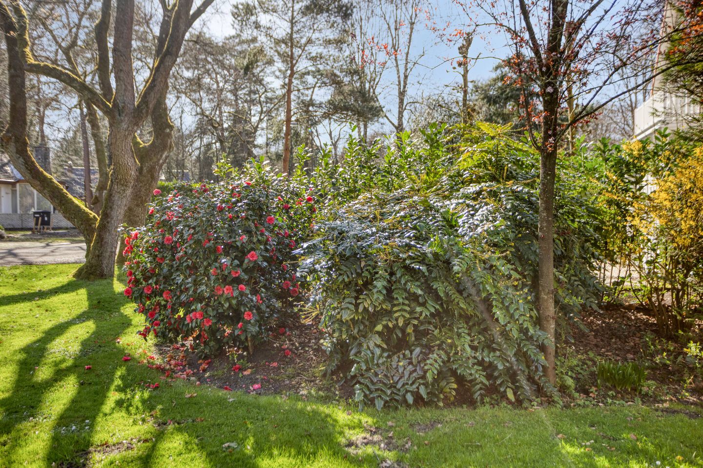 Photo 49 of Bosweg 122