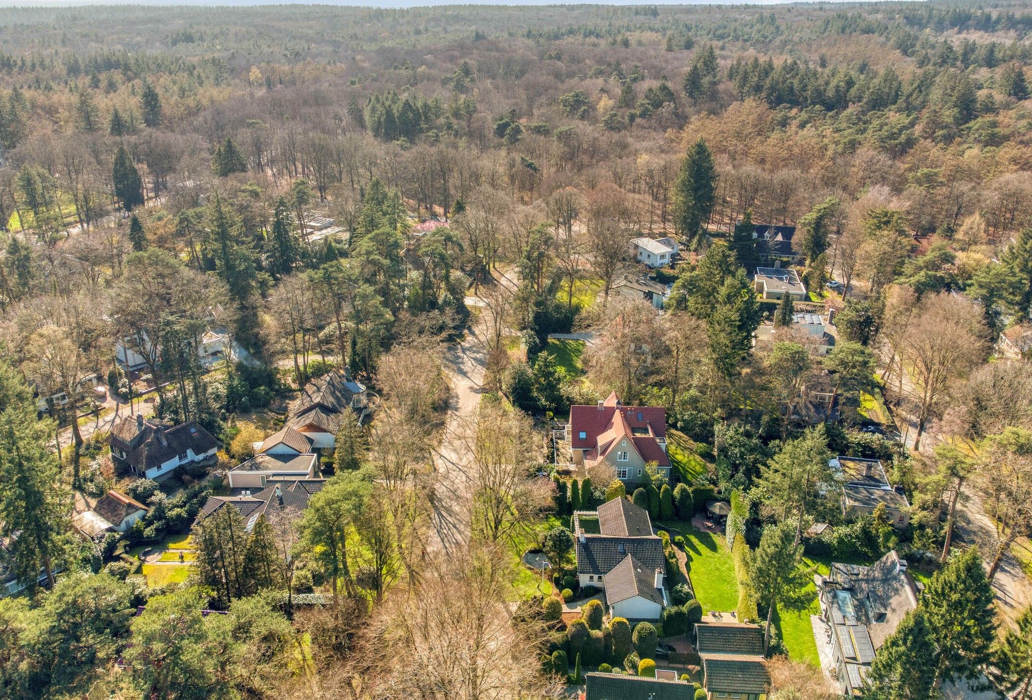 Photo 3 of Bosweg 122