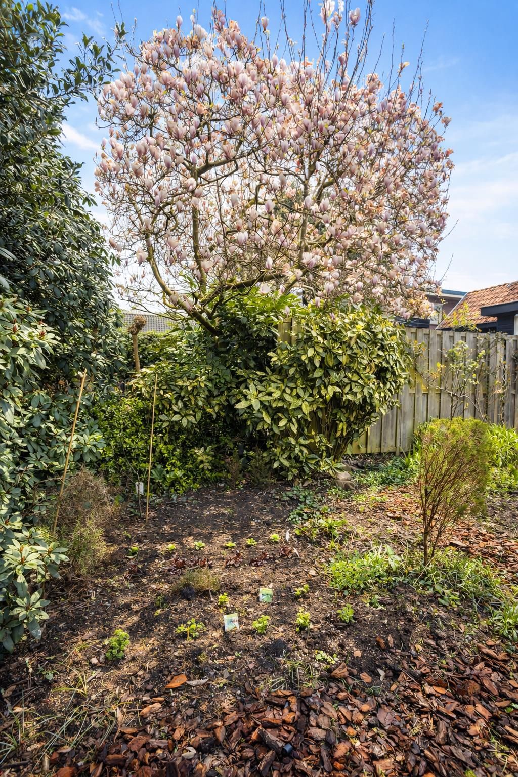 Photo 46 of Generaal Winkelmanstraat 134