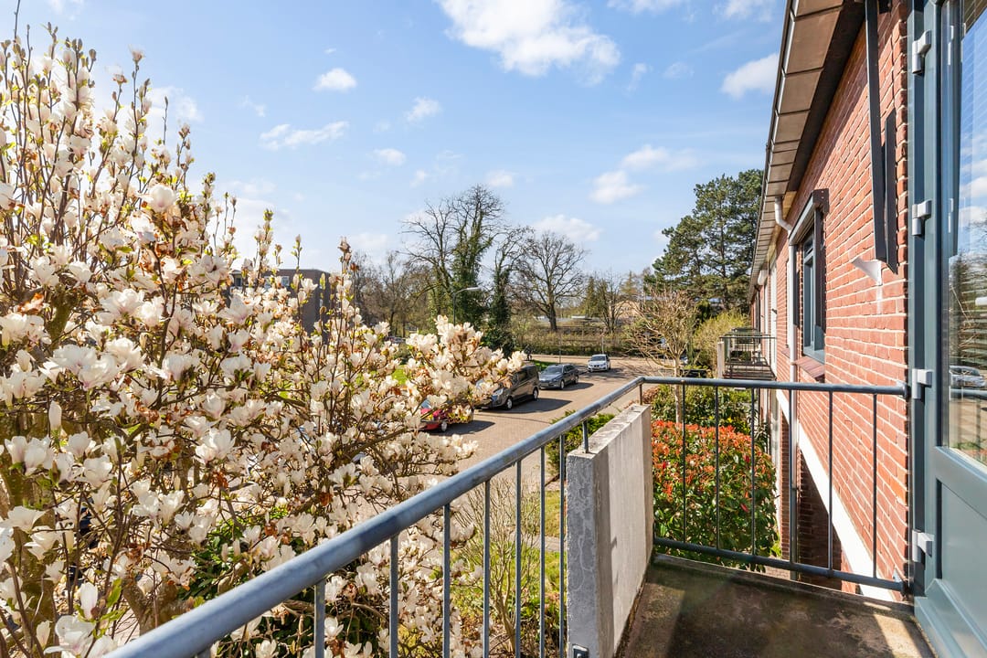 Foto 31 van Amsivarilaan 11