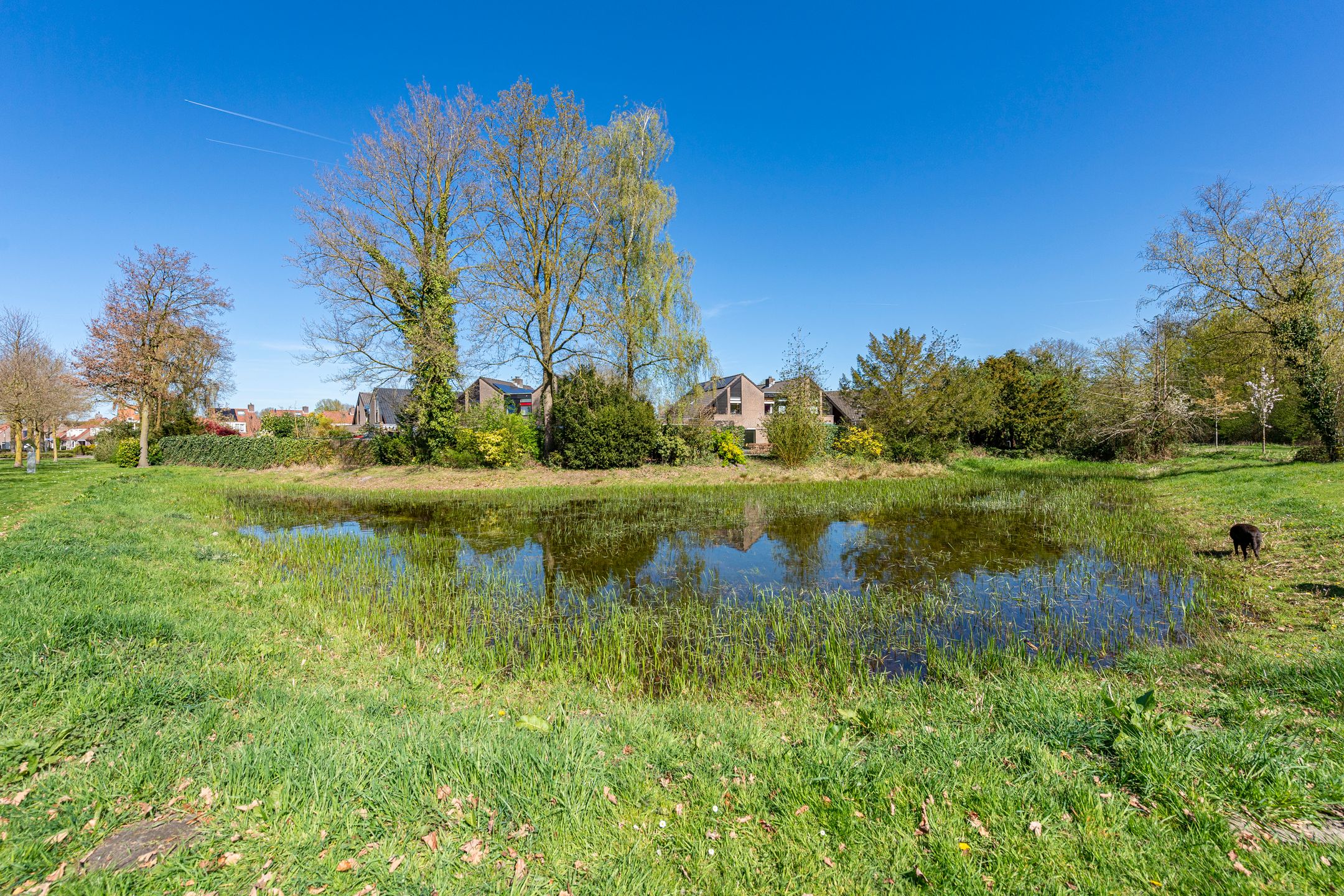 Foto 63 van Vinkenslag 3