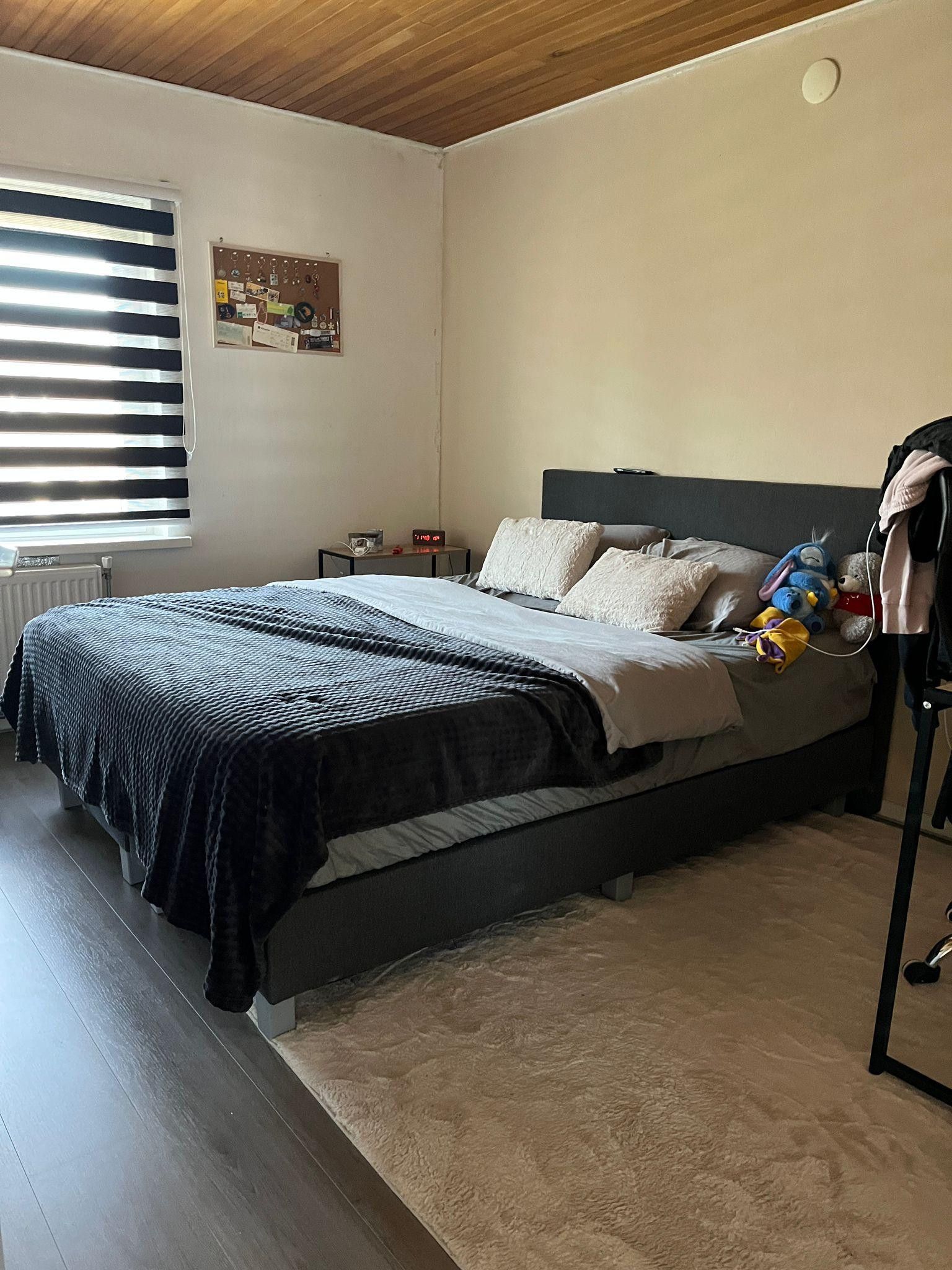 Foto 12 van Heemingeslag 22