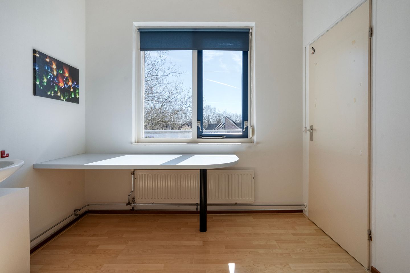 Foto 25 van Homerusstraat 62