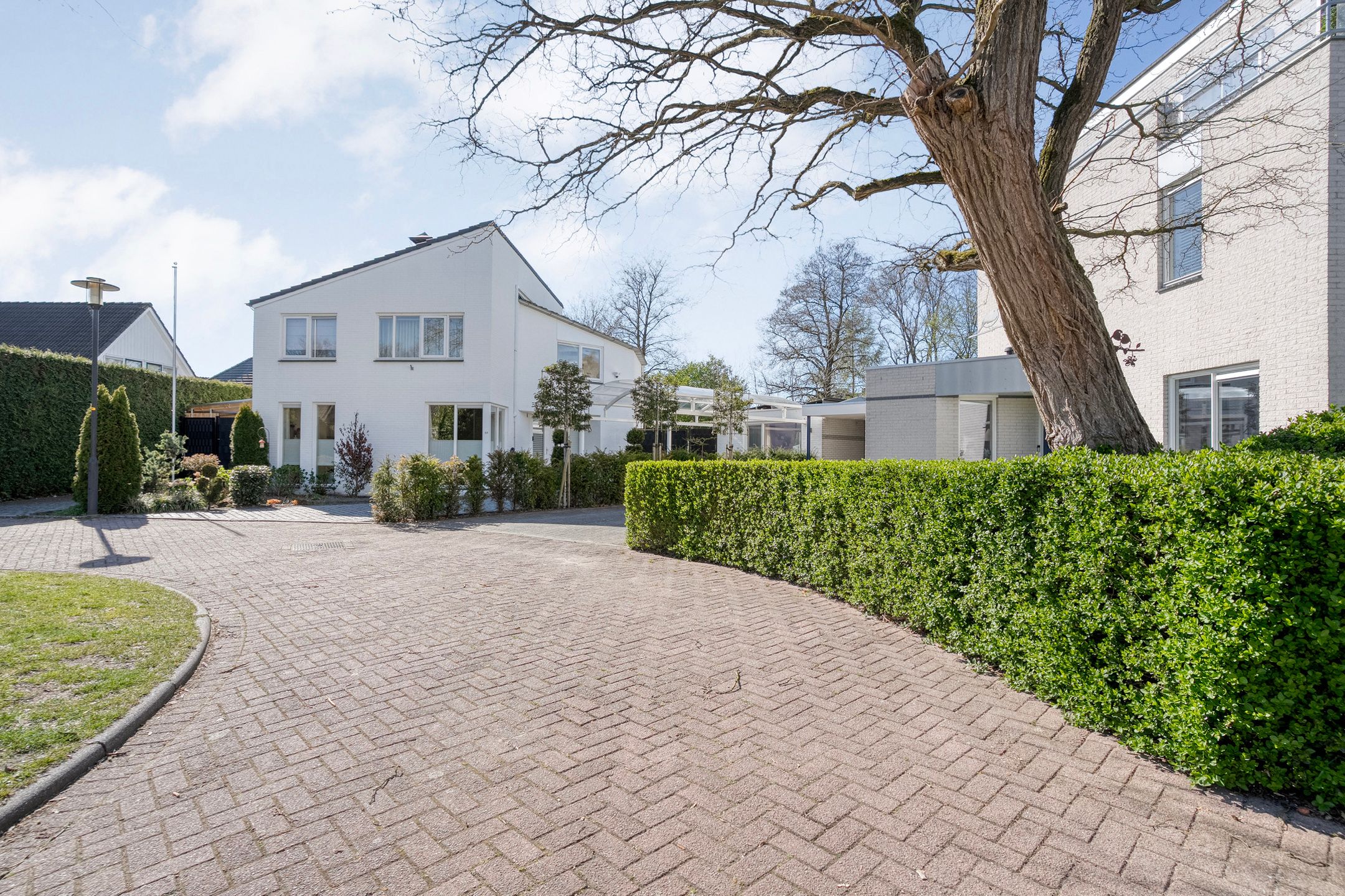 Foto 57 van Homerusstraat 62