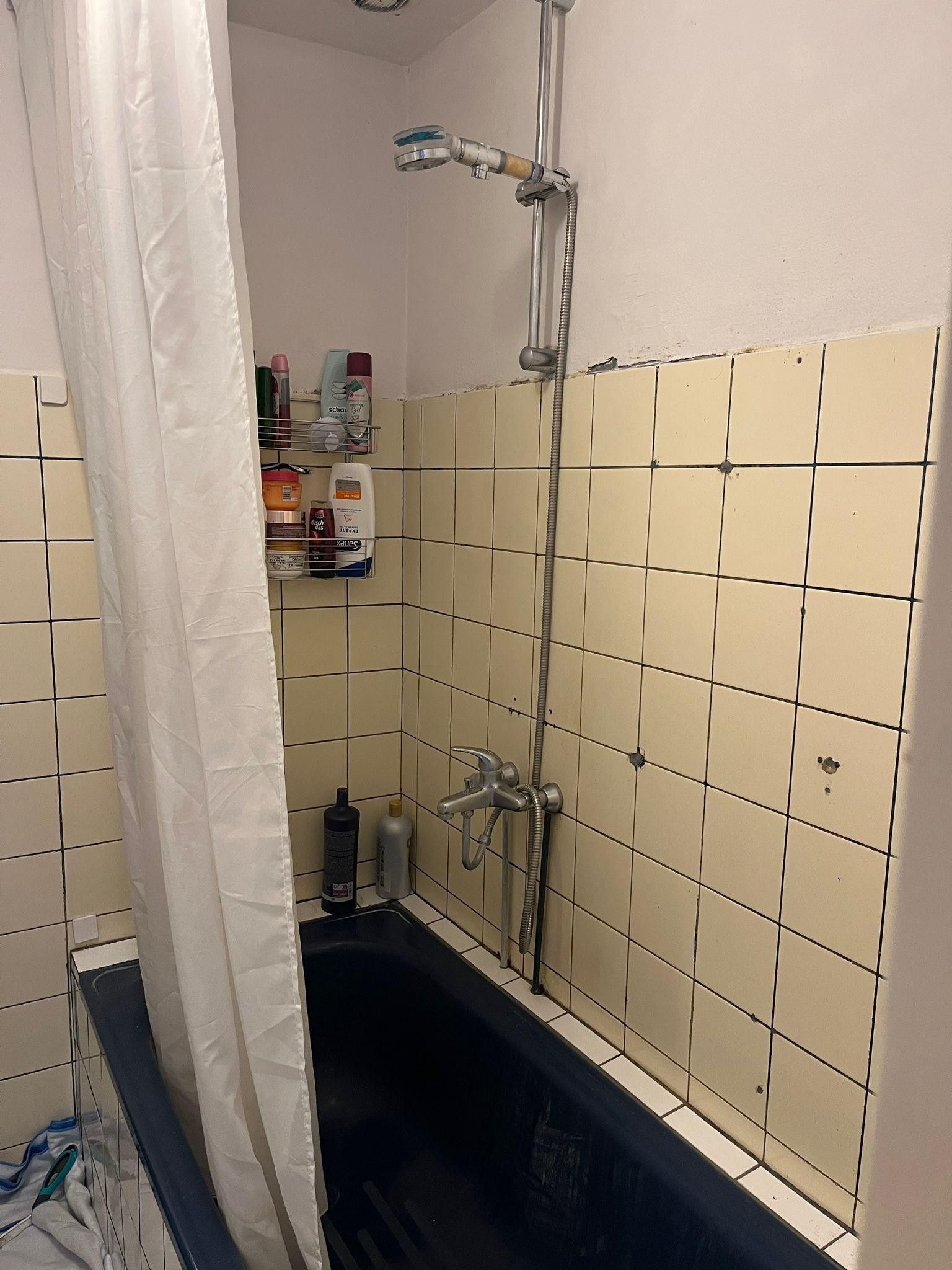 Foto 9 van Heemingeslag 22