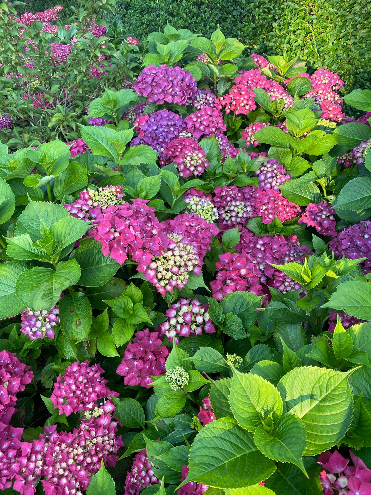 Foto 69 van Homerusstraat 62