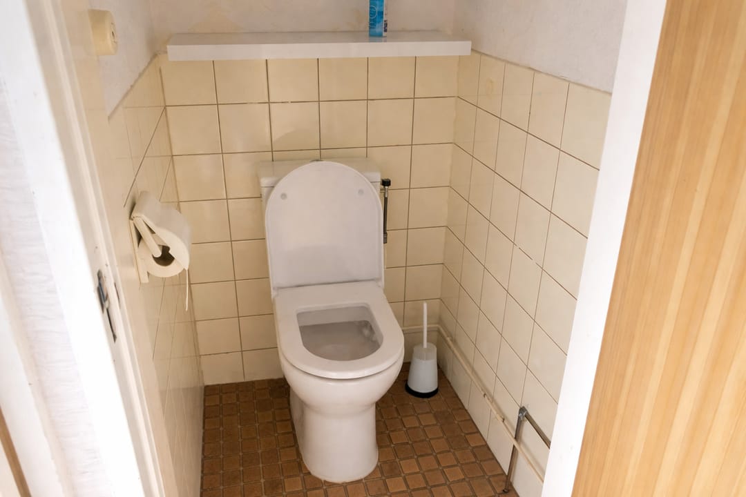 Foto 8 van Heemingeslag 22